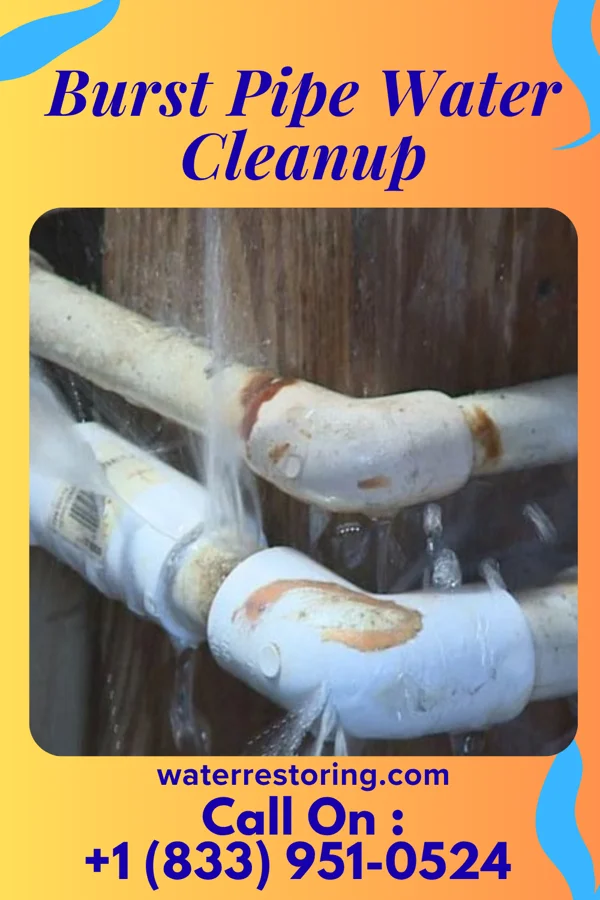 Burst Pipe Water Cleanup in McAlmont, AR