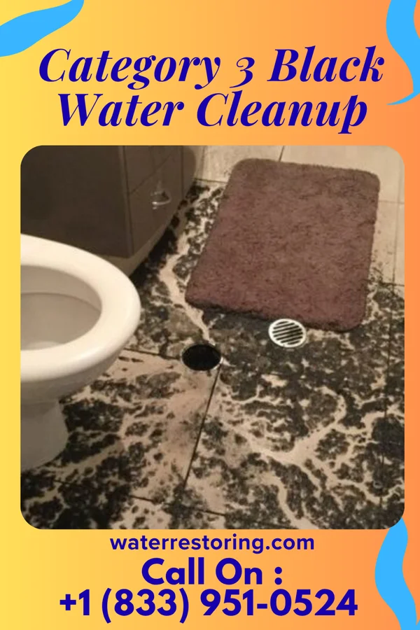 Category 3 Black Water Cleanup in McAlmont, AR