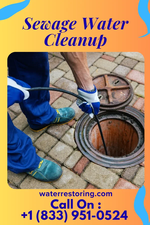 Sewage Water Cleanup in McAlmont, AR